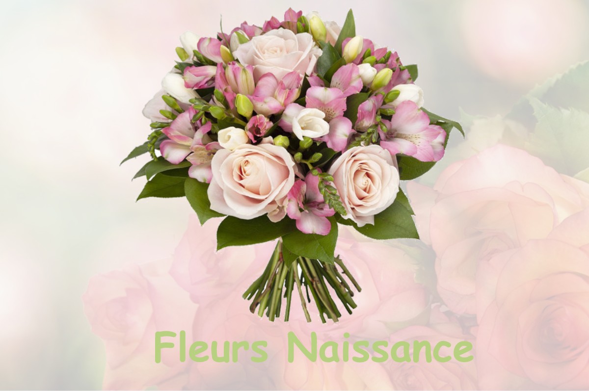 fleurs naissance SAINT-SEVERIN-D-ESTISSAC